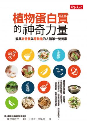 植物蛋白質的神奇力量：兼具高營養與零負擔的人體第一營養素