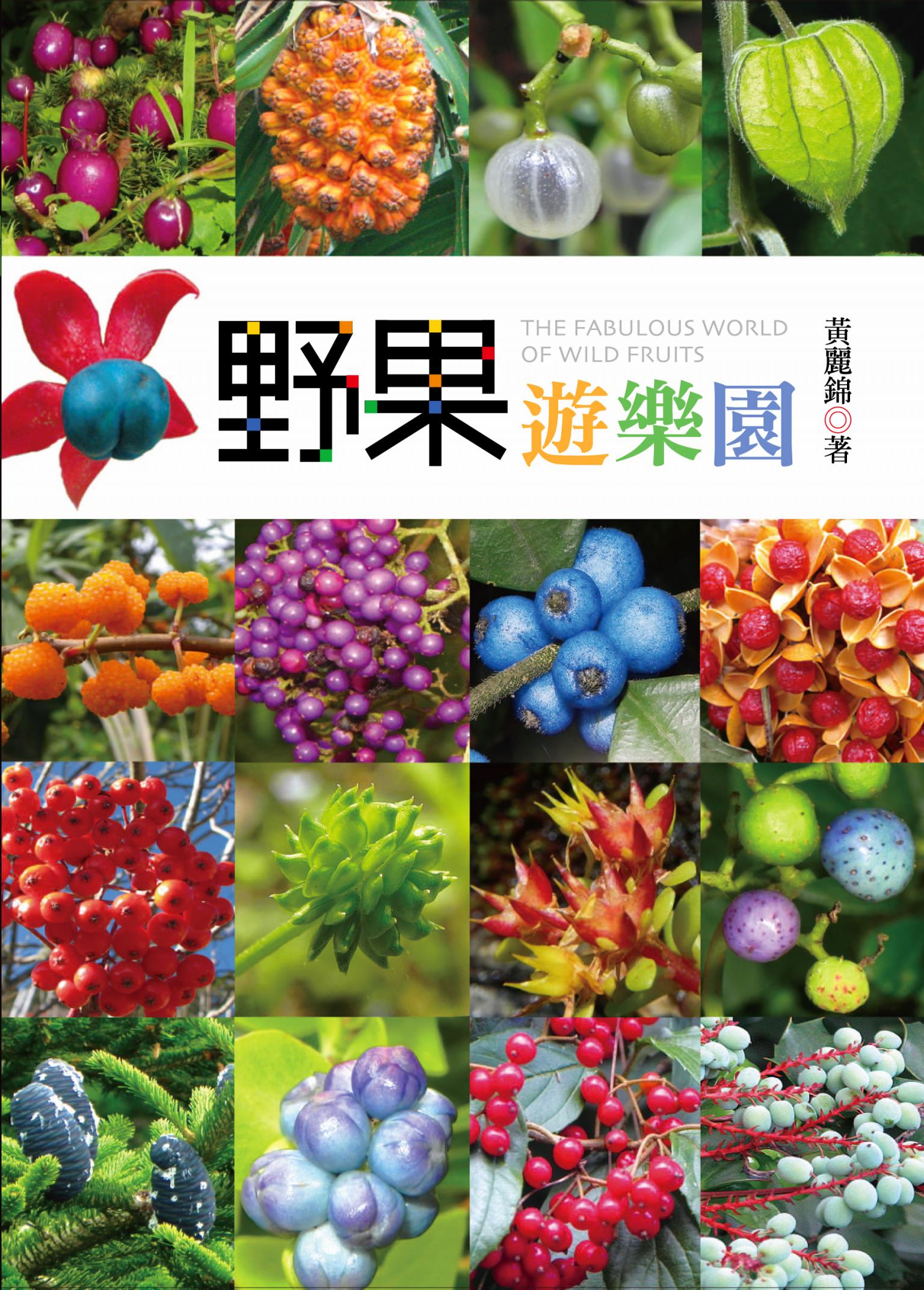 野果遊樂園