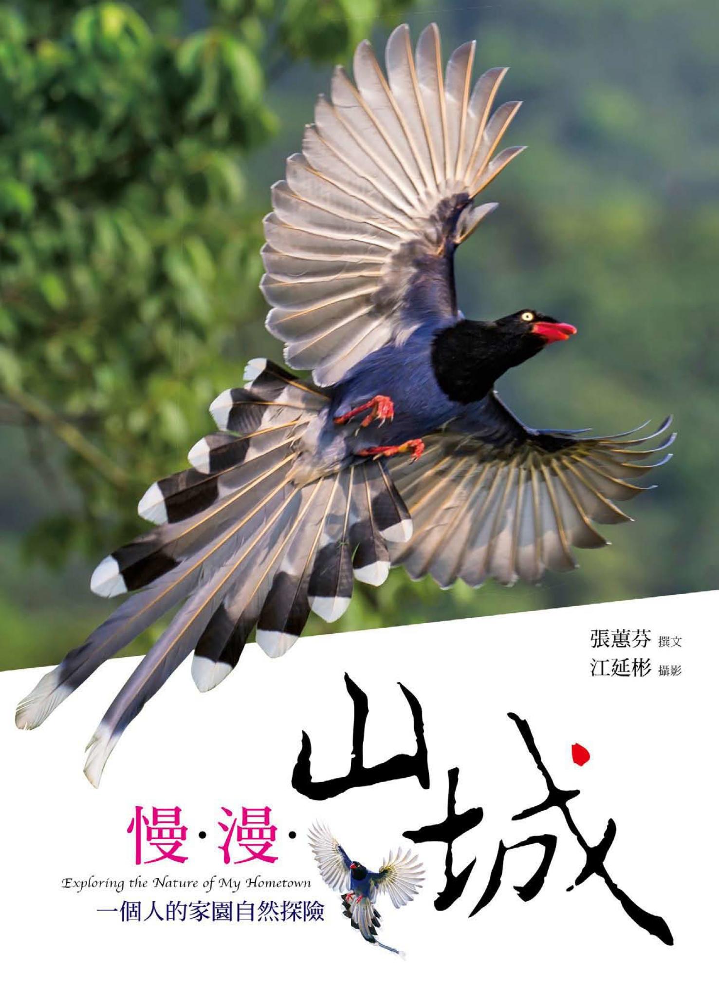 慢‧漫‧山城：一個人的家園自然探險