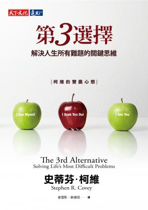 第3選擇：解決人生所有難題的關鍵思維(epub)