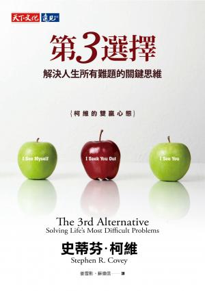 第3選擇：解決人生所有難題的關鍵思維(pdf)