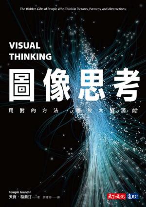 圖像思考：用對的方法，釋放大腦潛能(pdf)