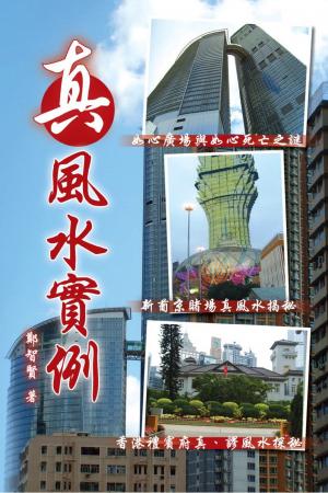真風水實例(PDF)