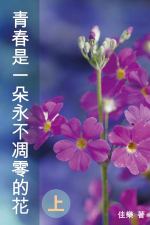 青春是一朵永不凋零的花（上）