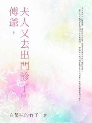 傅爺，夫人又去出門診了（6）