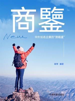 商鑒：中外知名企業的“滑鐵盧”