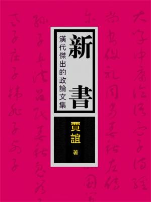 新書：漢代傑出的政論文集