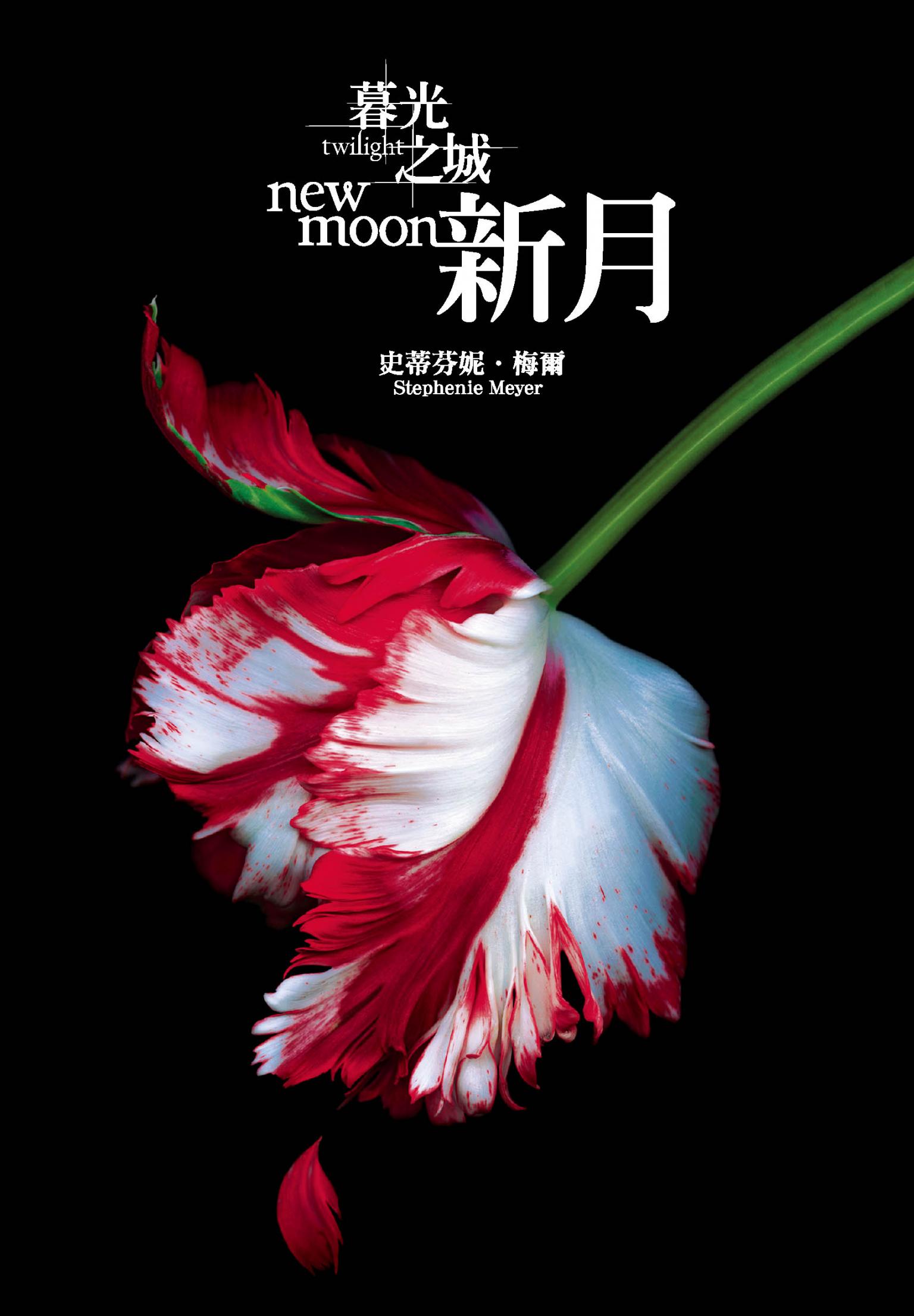 暮光之城：新月