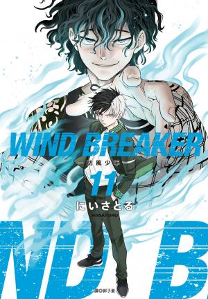 WIND BREAKER—防風少年—(11)
