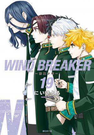 WIND BREAKER—防風少年—(19)