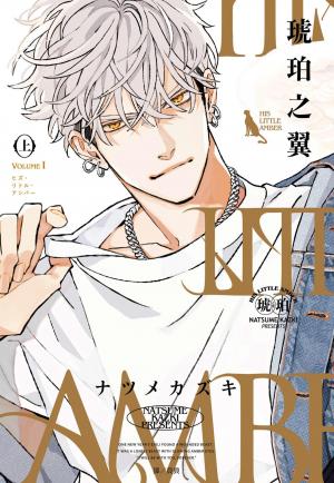 HIS LITTLE AMBER—琥珀之翼—(上)