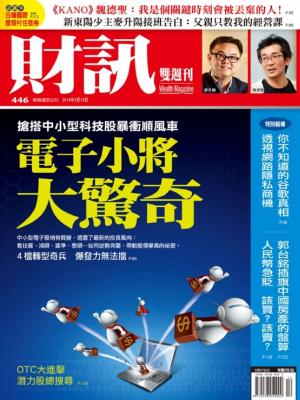 《財訊雙週刊》446期—電子小將大驚奇(精華版)