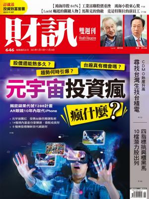 《財訊》646期-元宇宙投資瘋 瘋什麼？