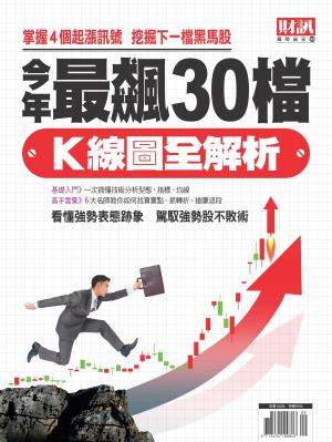 趨勢贏家48-今年最飆30檔K線圖全解析