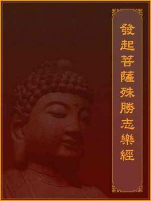 發起菩薩殊勝志樂經