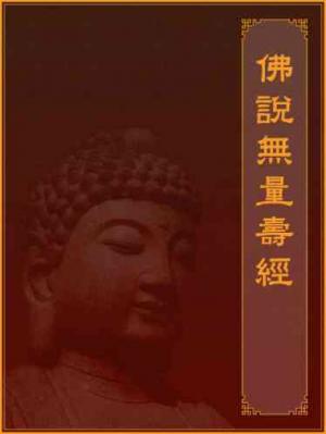 佛說無量壽經