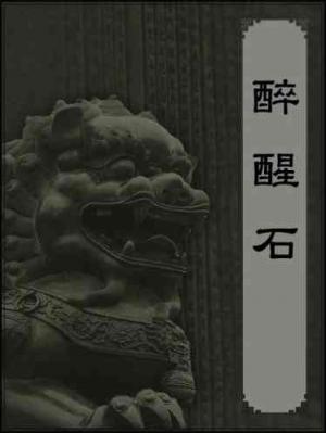 醉醒石