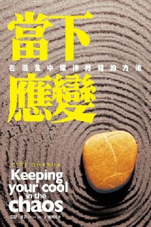 當下應變：在混亂中保持覺知的方法