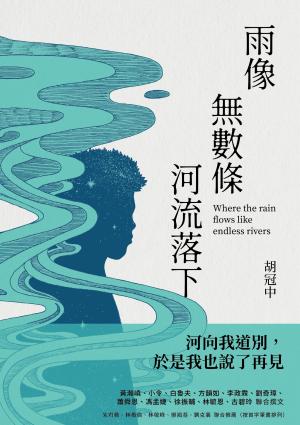 雨像無數條河流落下