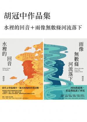 胡冠中作品集：水裡的回音＋雨像無數條河流落下