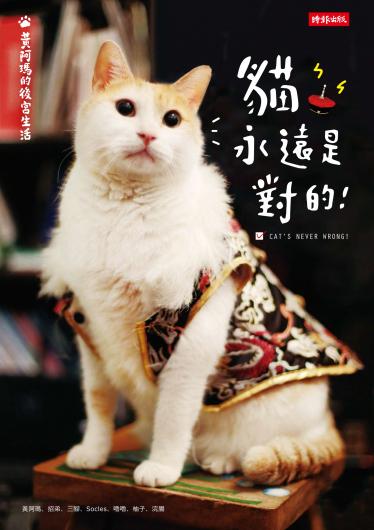 黃阿瑪的後宮生活：貓永遠是對的