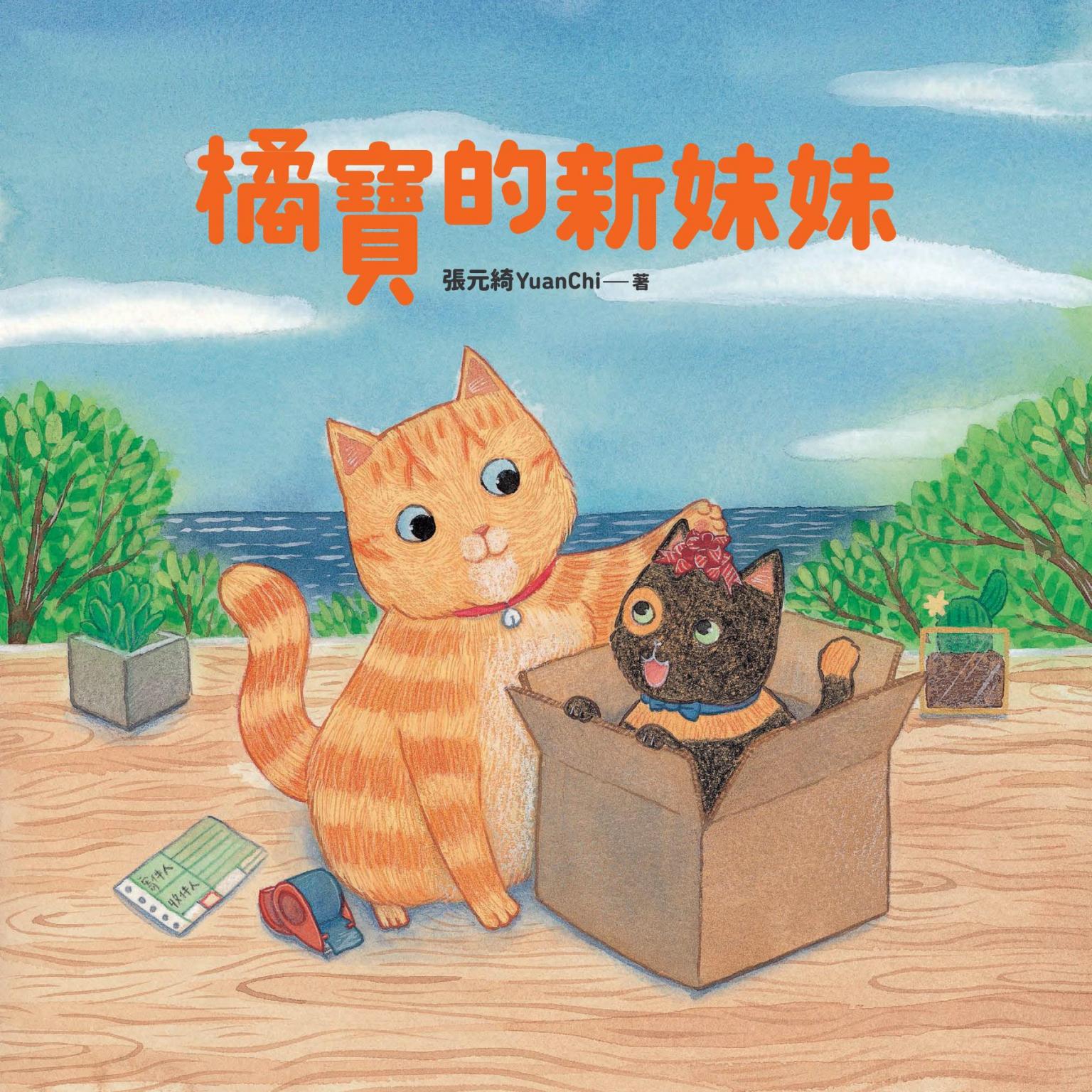 橘寶的新妹妹