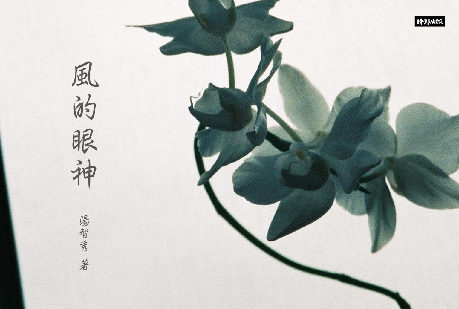 風的眼神