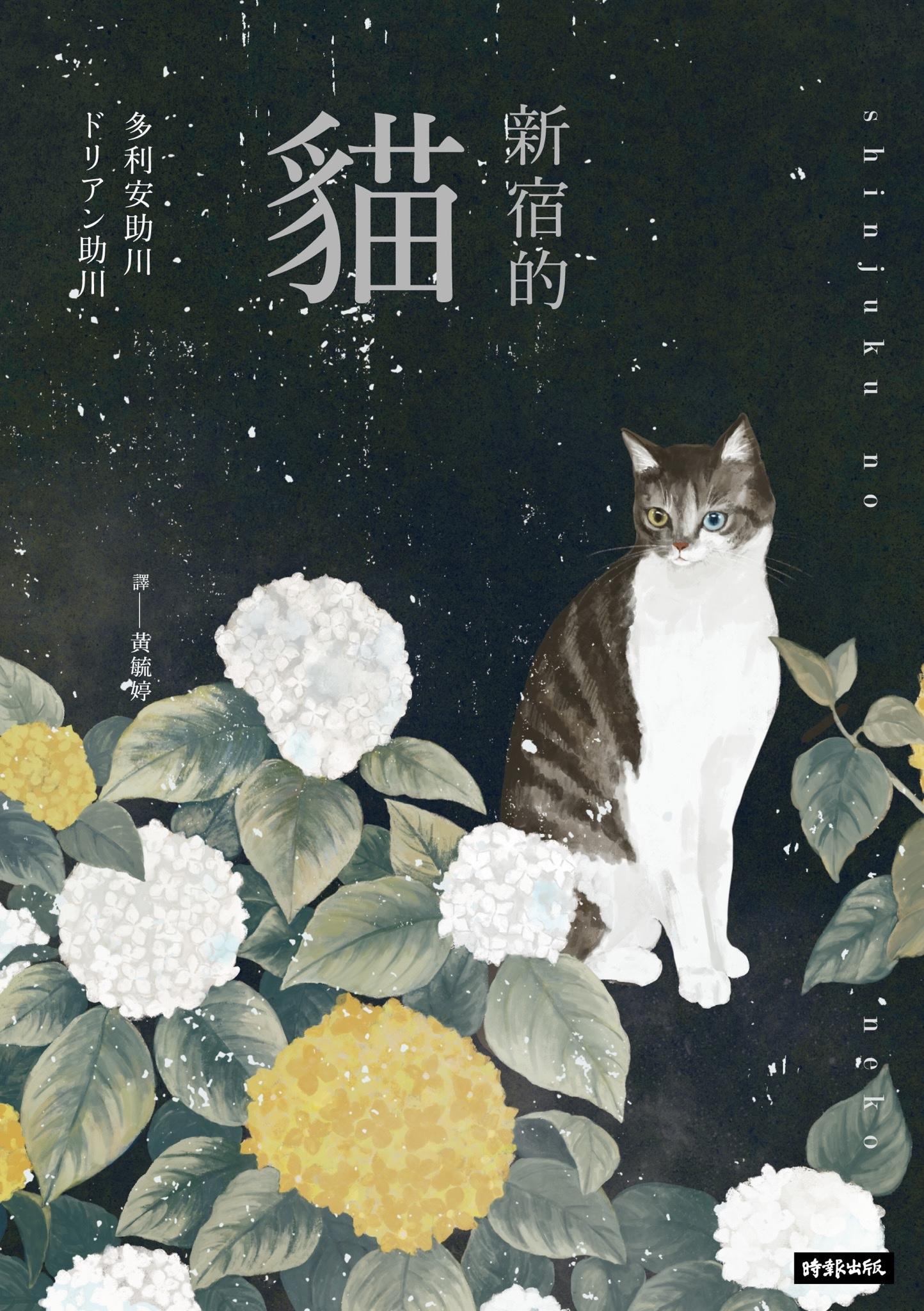 新宿的貓