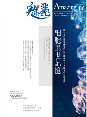 魅麗雜誌 第86期 2014年11月號