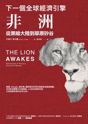 下一個全球經濟引擎：非洲，從黑暗大陸到草原矽谷