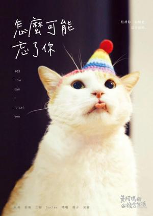 黃阿瑪的後宮生活：怎麼可能忘了你