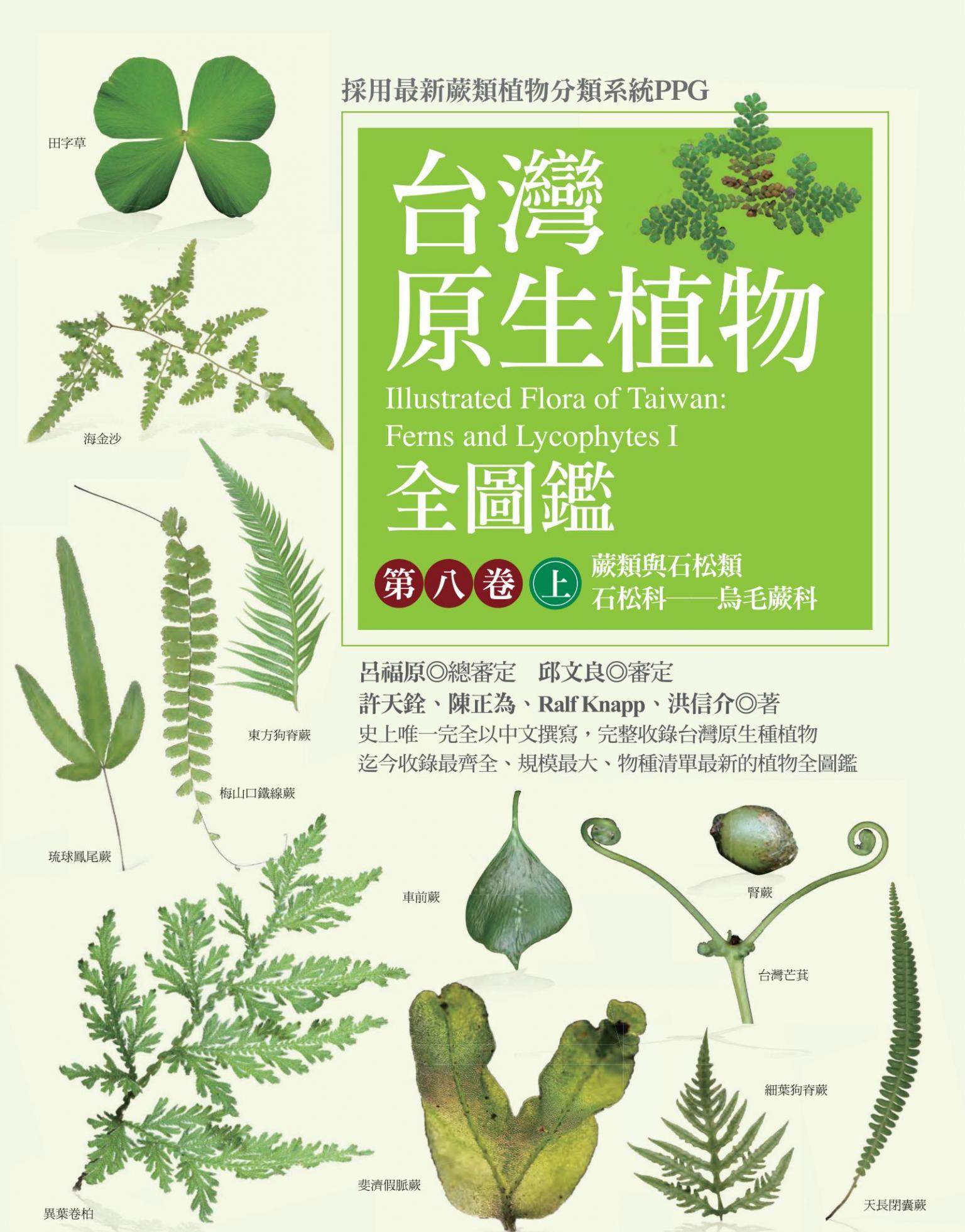 台灣原生植物全圖鑑第八卷（上）：蕨類與石松類 石松科－－烏毛蕨科