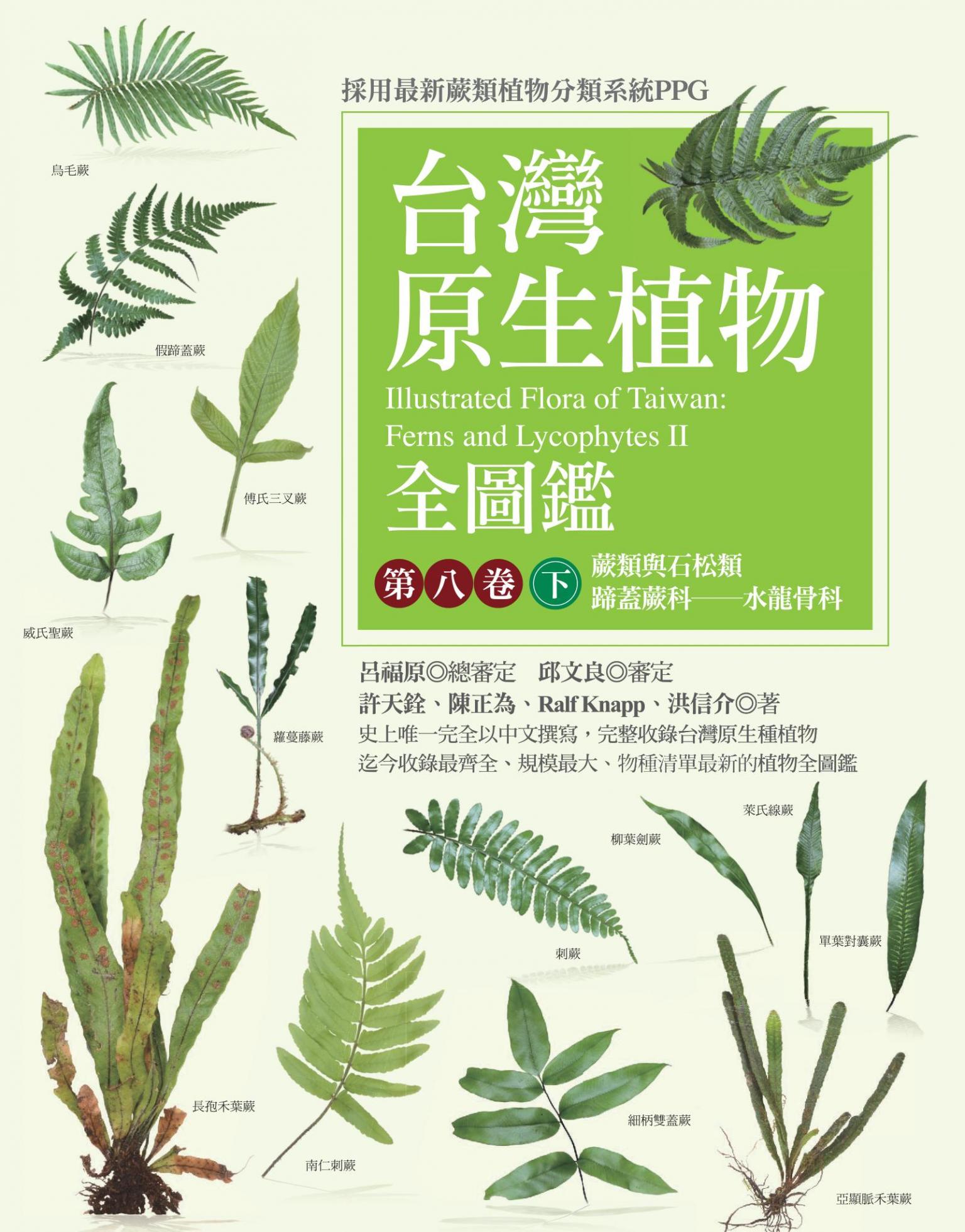 台灣原生植物全圖鑑第八卷（下）：蕨類與石松類 蹄蓋蕨科－－水龍骨科