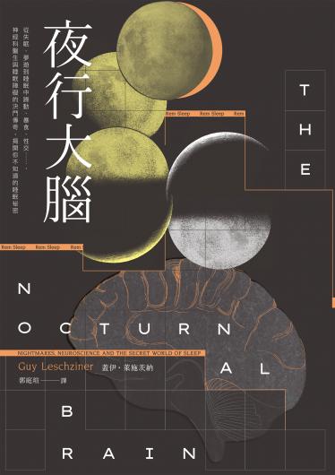 夜行大腦