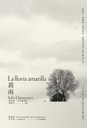黃雨（西班牙文學大師經典作、書商金書獎得獎作品長銷回歸）