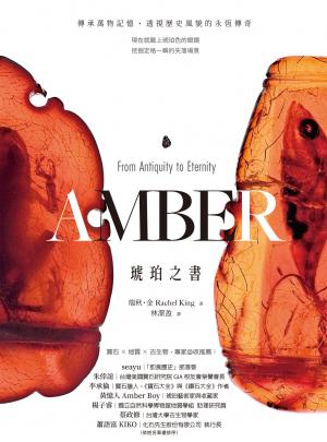 琥珀之書：傳承萬物記憶、透視歷史風貌的永恆傳奇