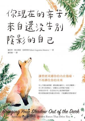 你現在的辛苦，來自還沒告別陰影的自己：讓曾經束縛你的內在傷痛，不再綁住你的未來
