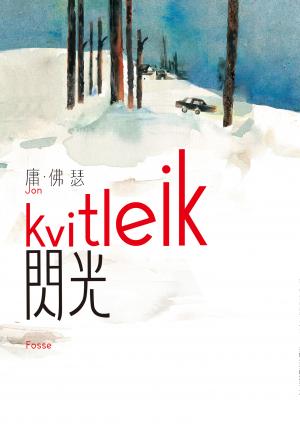 閃光（諾貝爾文學獎得主佛瑟 撫觸生死的震撼之作 首部繁體中文譯本）
