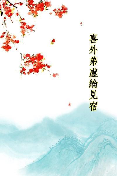唐詩三百首_喜外弟盧綸見宿