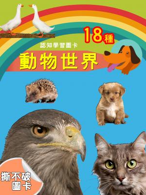 認知學習圖卡-動物世界1