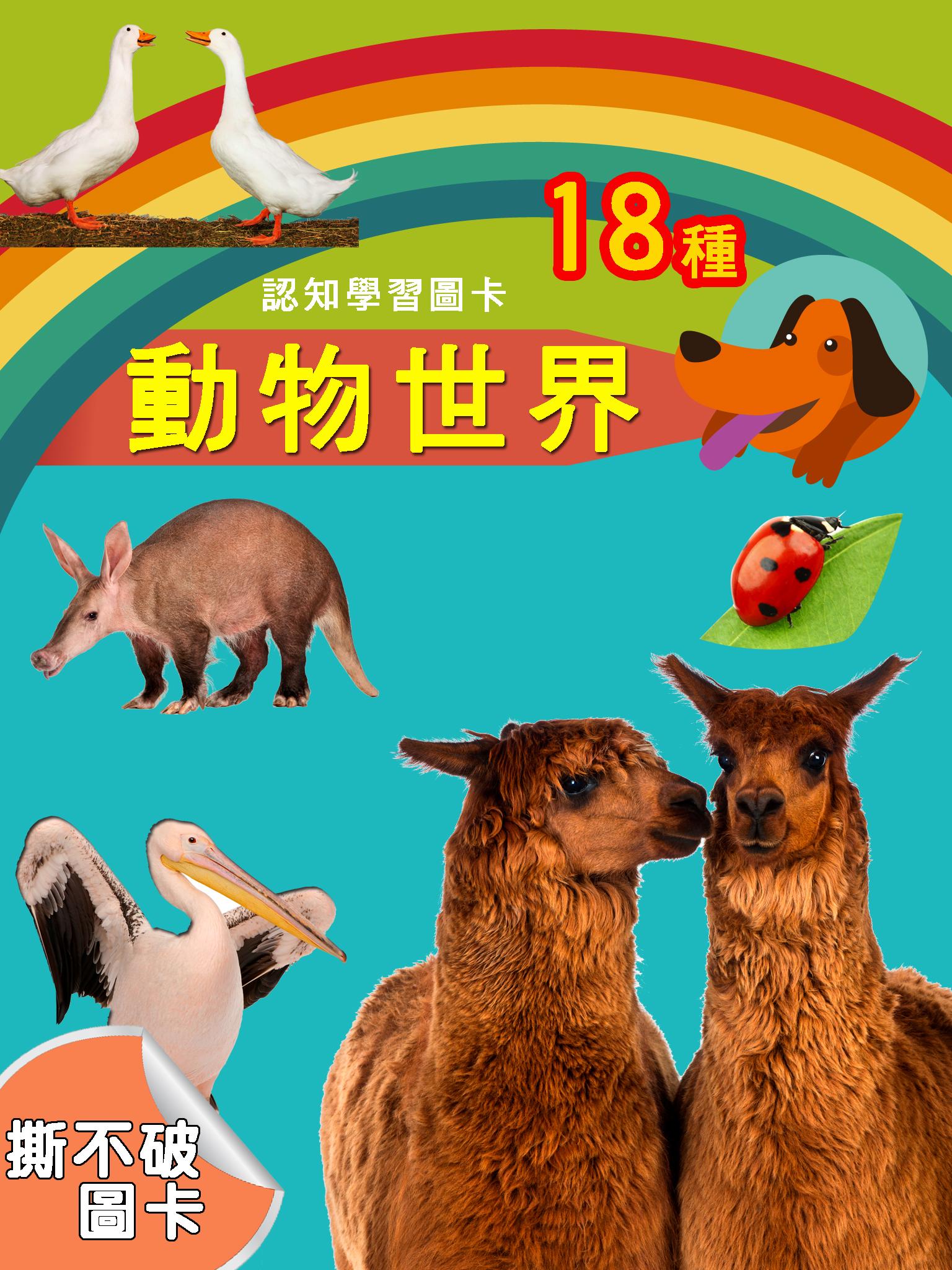 認知學習圖卡-動物世界4