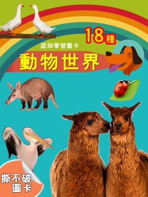 認知學習圖卡-動物世界4