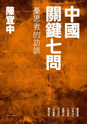 中國關鍵七問：憂思者的訪談