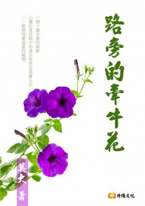 路旁的牽牛花