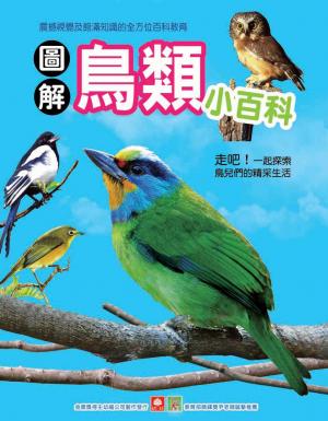 圖解鳥類小百科