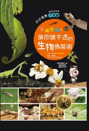 不可思議！讓你猜不透的生物偽裝術