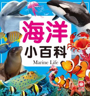 海洋小百科