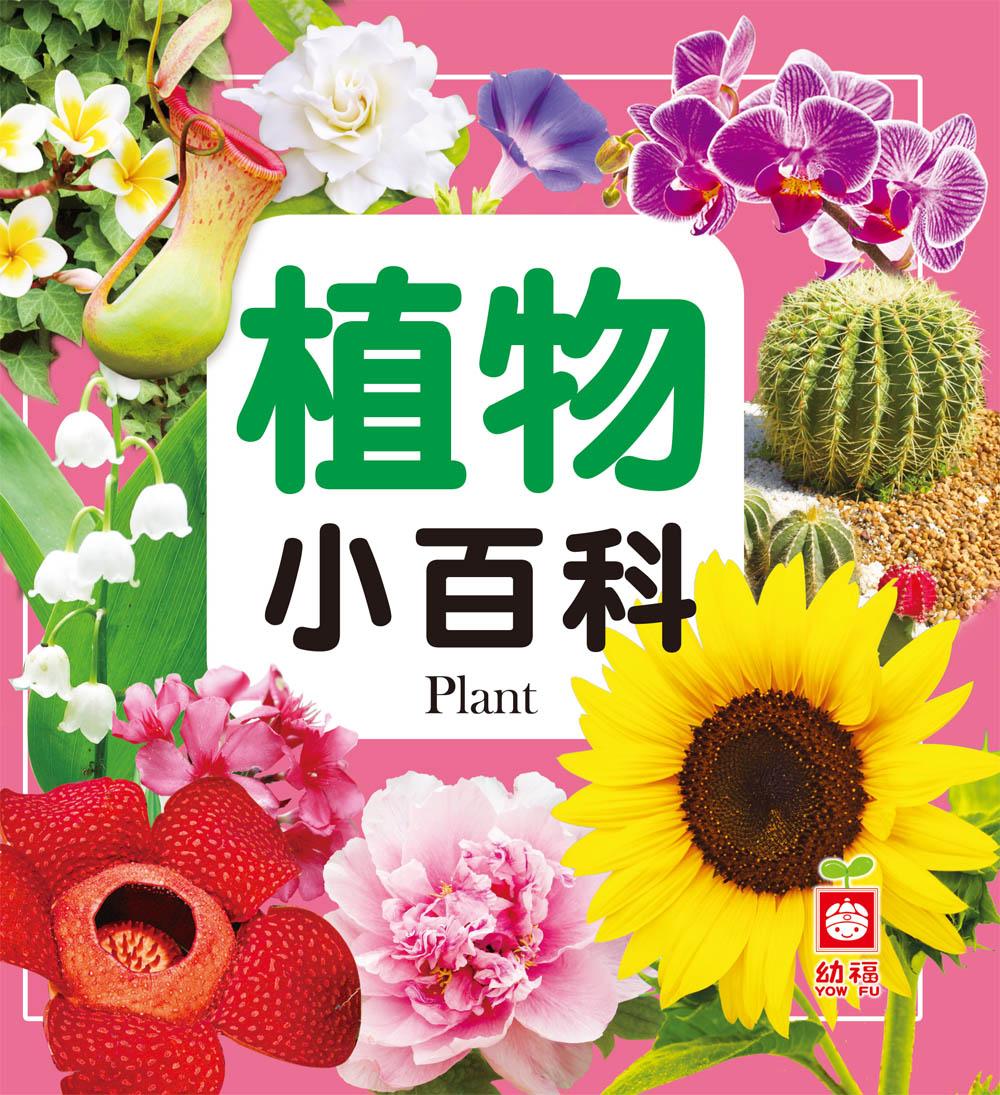 植物小百科