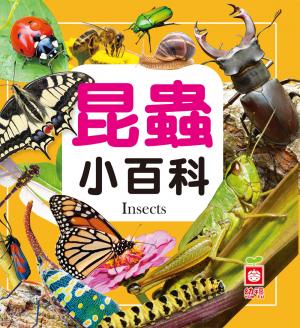 昆蟲小百科