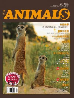 關於ANIMALS 春季號